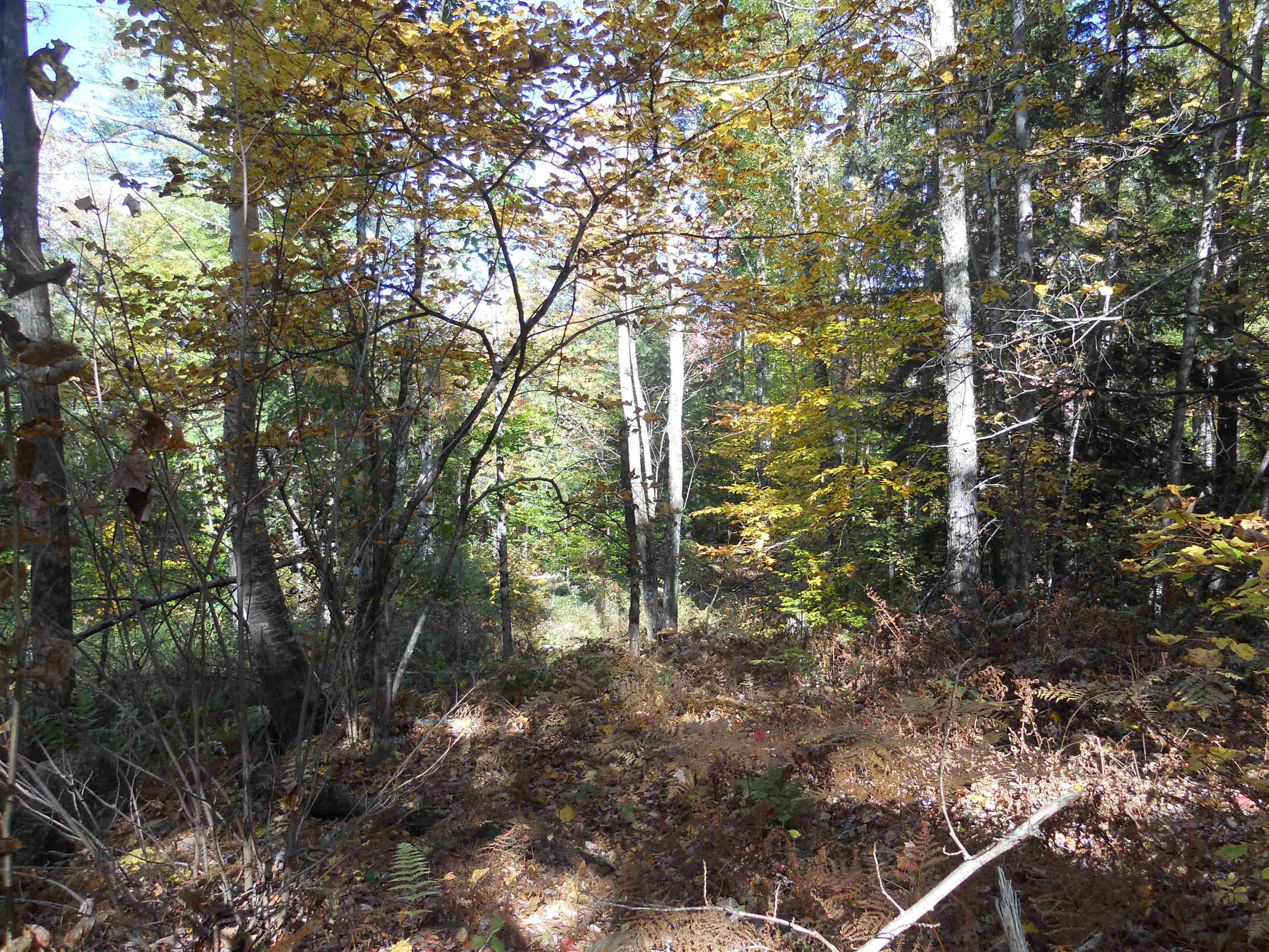 120 Hackett Swamp Road Charlestown, NH 03603 - Photo 6 of 20 Gallery Image 6
