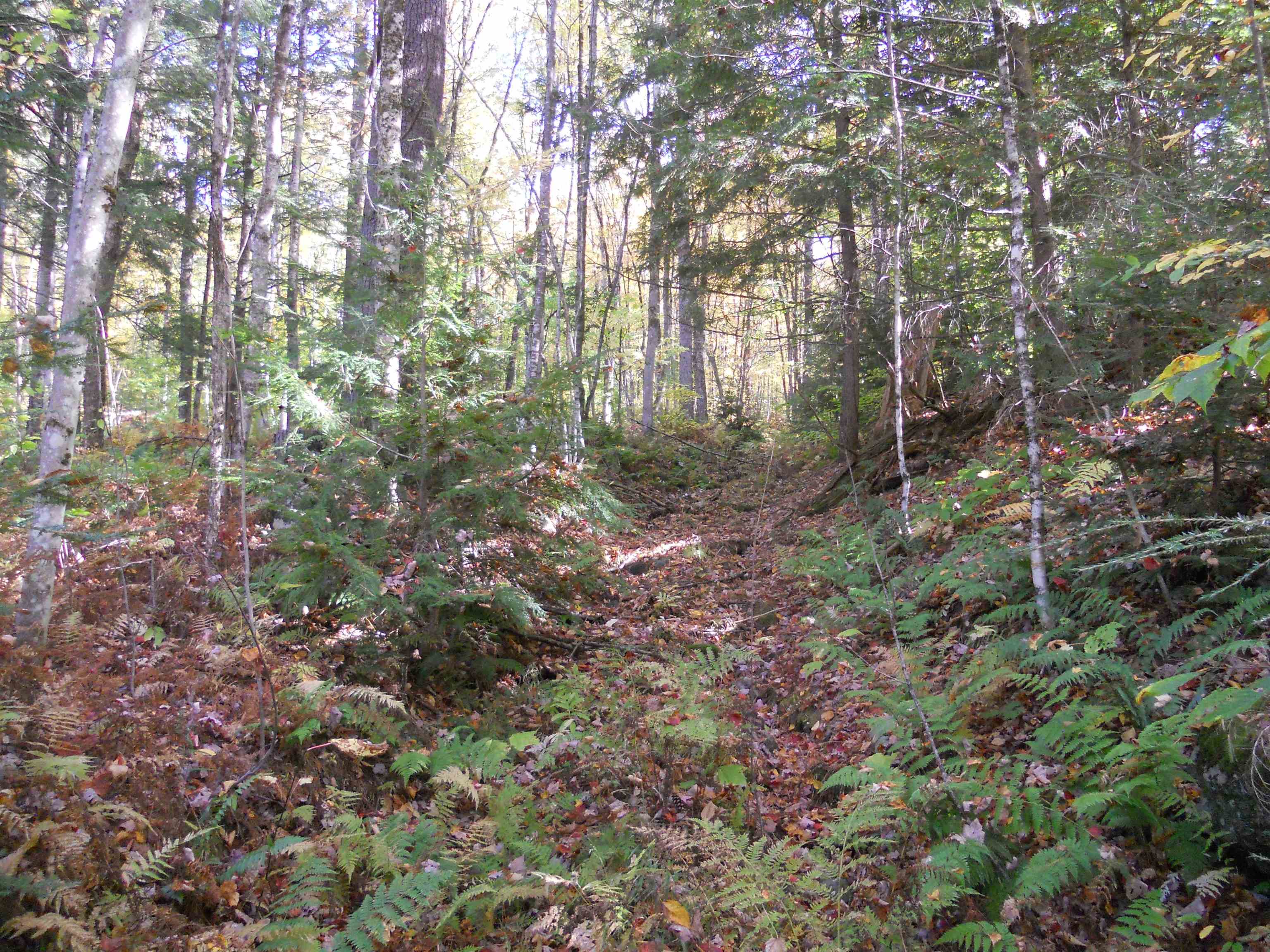 120 Hackett Swamp Road Charlestown, NH 03603 - Photo 8 of 20 Gallery Image 8