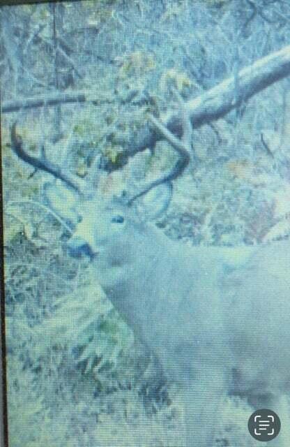 N7534 Skoy Road Farmington, WI 54644 - Photo 40 of 49 DT1