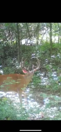 $2,950,000 | N7534 Skoy Road, Farmington, WI 54644