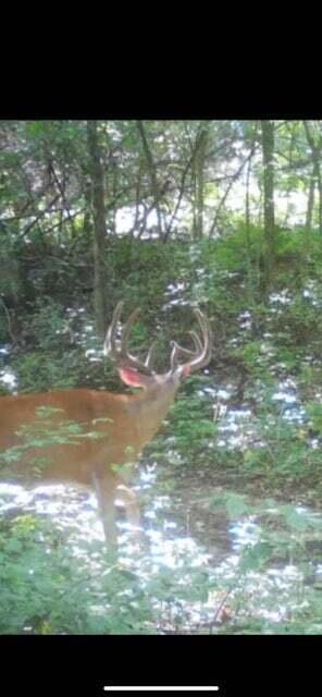 N7534 Skoy Road Farmington, WI 54644 - Photo 41 of 49 DT2