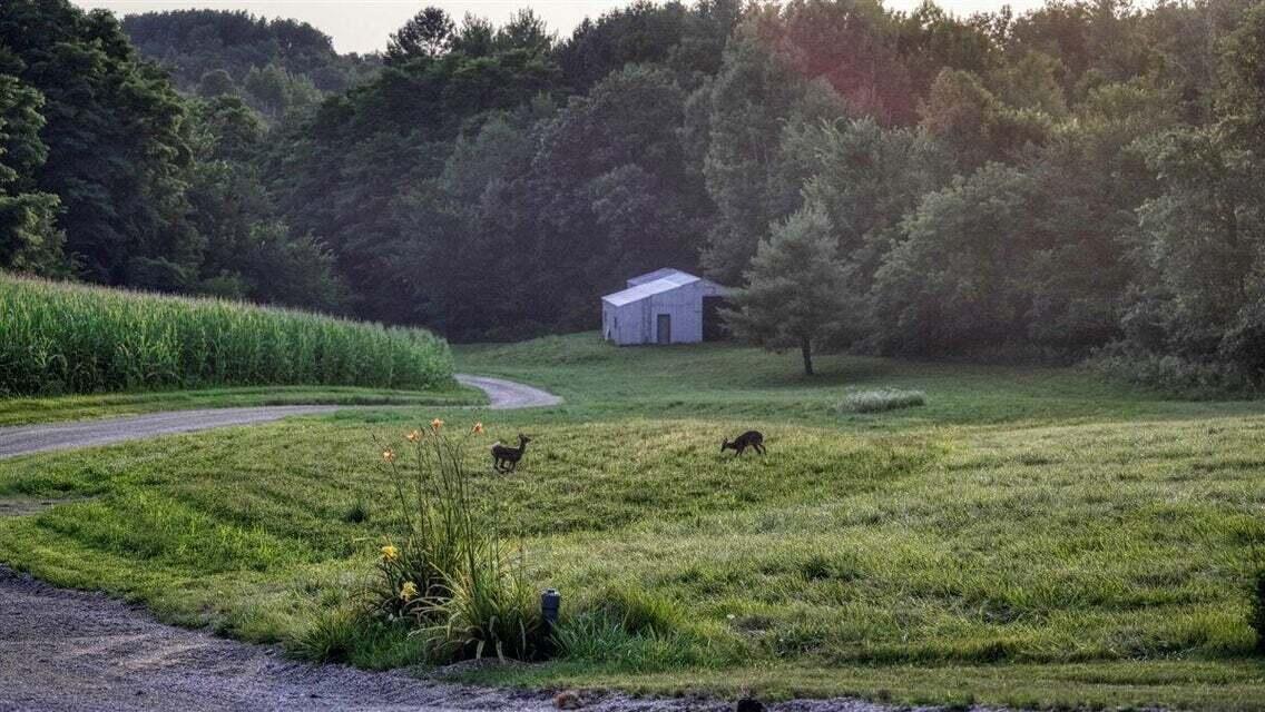 N7534 Skoy Road Farmington, WI 54644 - Photo 42 of 49 DT3