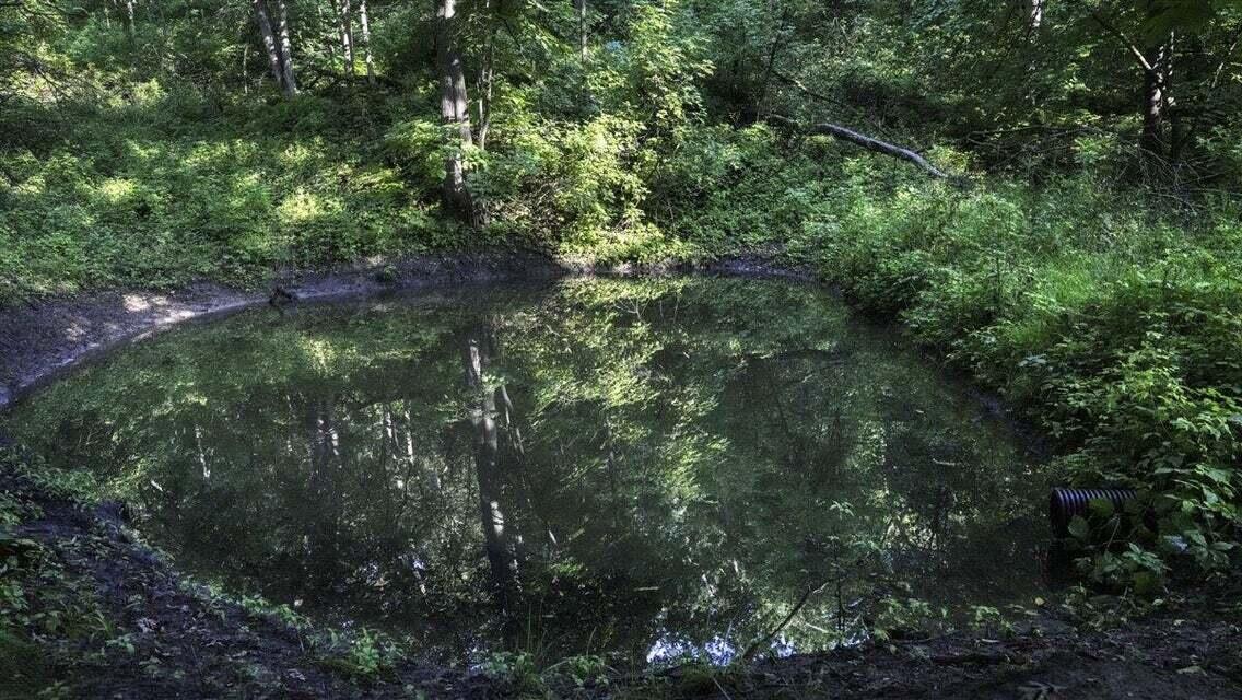 N7534 Skoy Road Farmington, WI 54644 - Photo 46 of 49 DT1