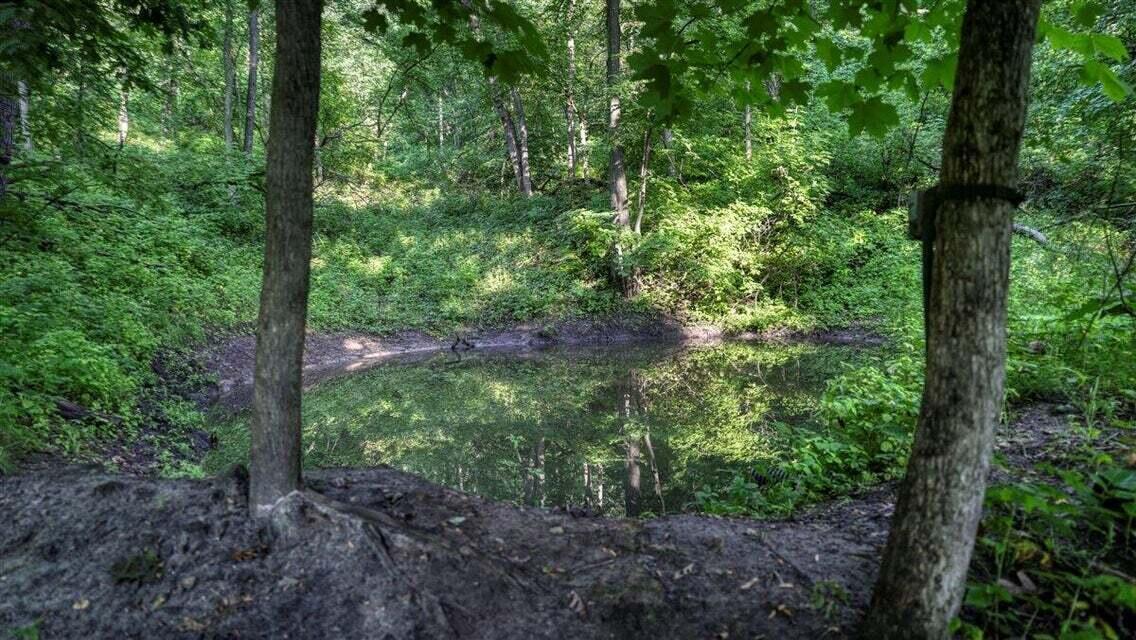 N7534 Skoy Road Farmington, WI 54644 - Photo 47 of 49 DT9