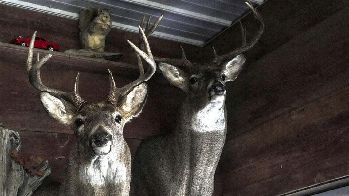 N7534 Skoy Road Farmington, WI 54644 - Photo 49 of 49 DT2