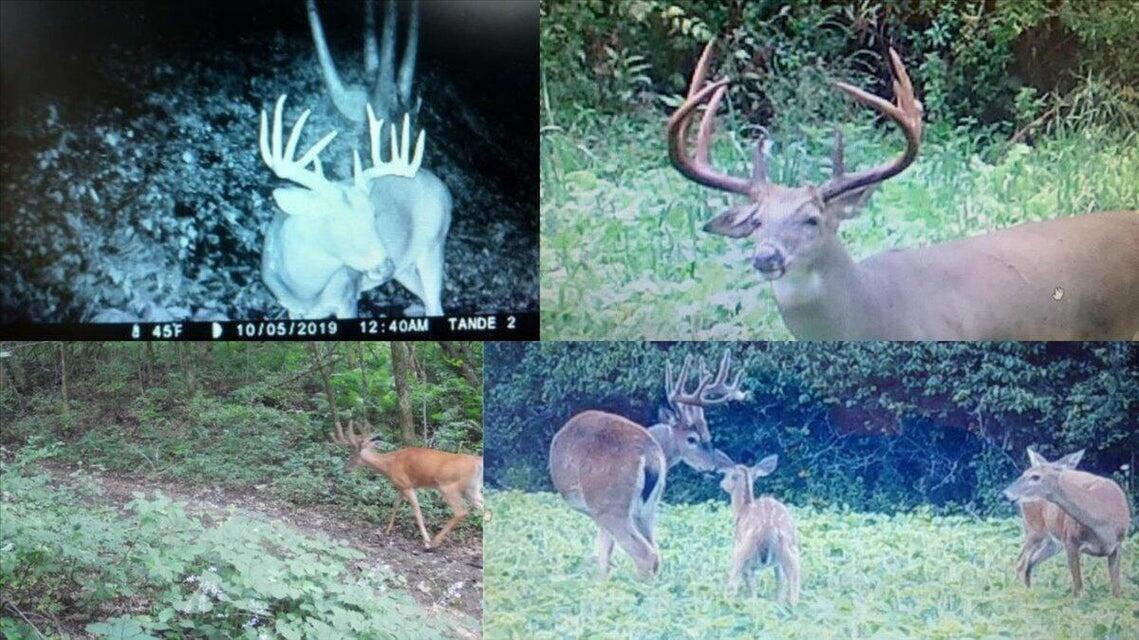 N7534 Skoy Road Farmington, WI 54644 - Photo 5 of 49 DT3