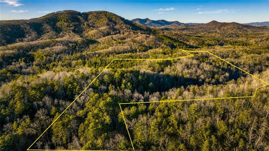 178 Arp Road Mineral Bluff, GA 30559 - Photo 54 of 57