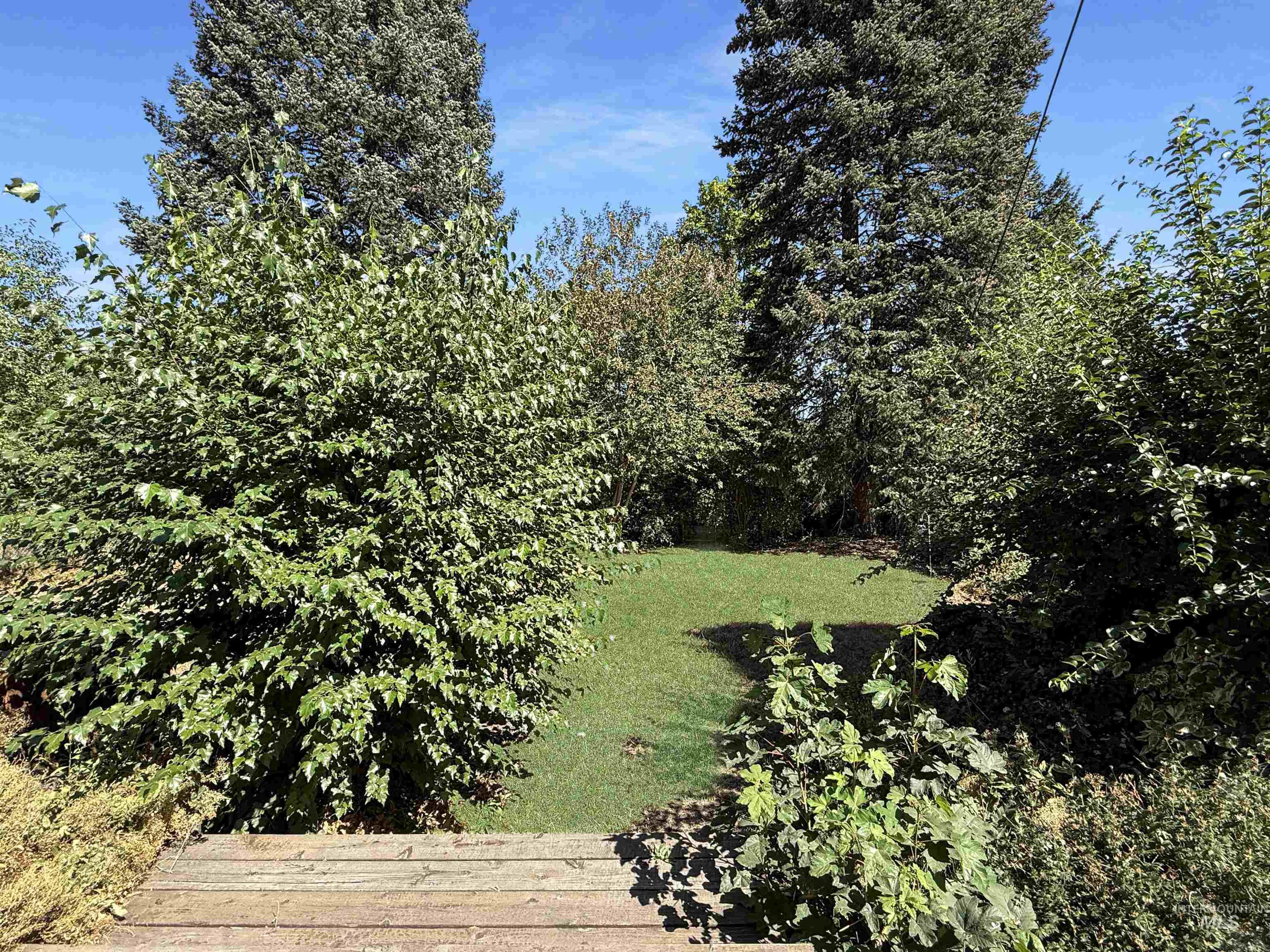 504 South Hayes Street Moscow, ID 83843 - Photo 37 of 44 View of grassy yard