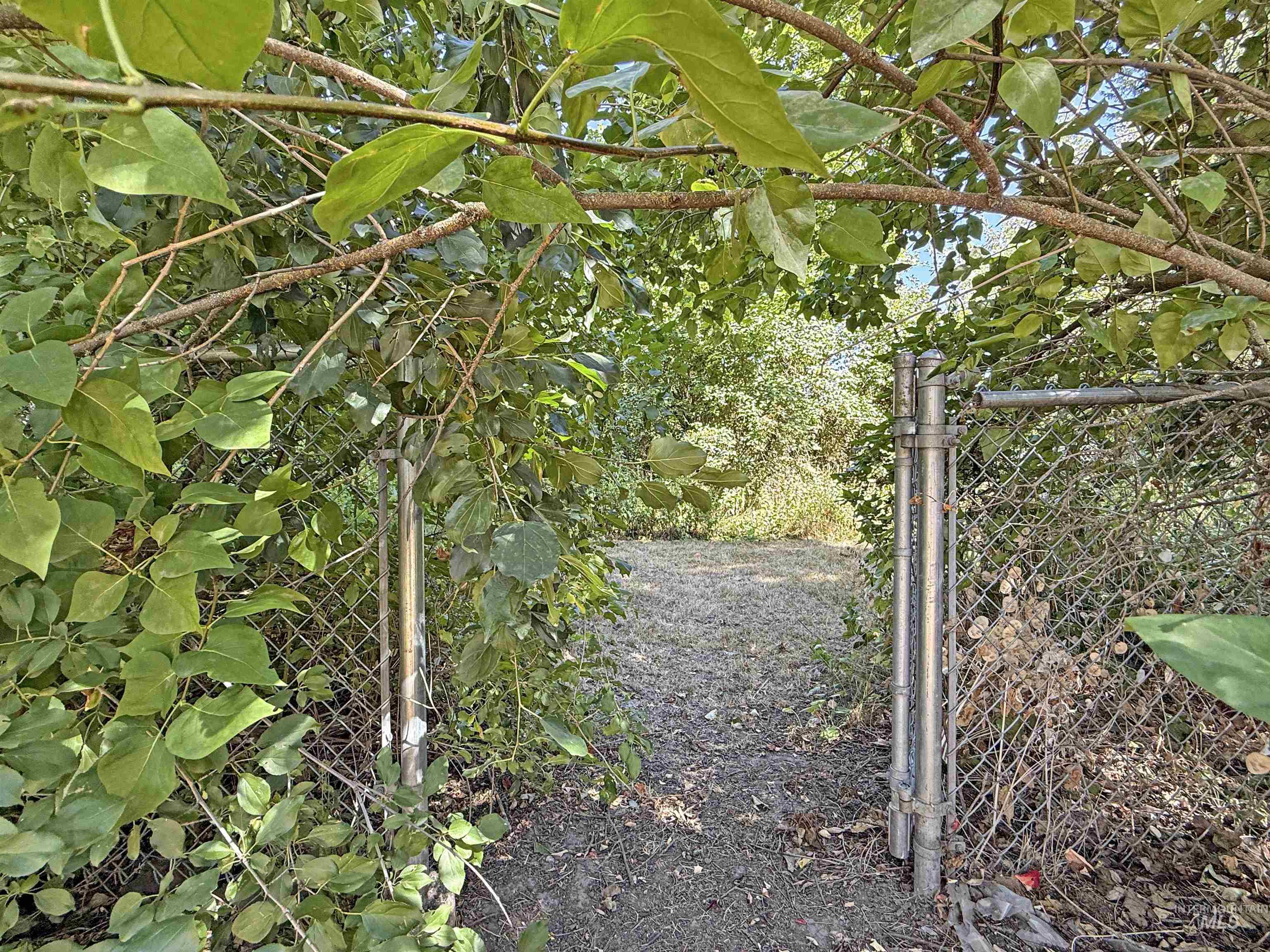 504 South Hayes Street Moscow, ID 83843 - Photo 38 of 44 View of nature