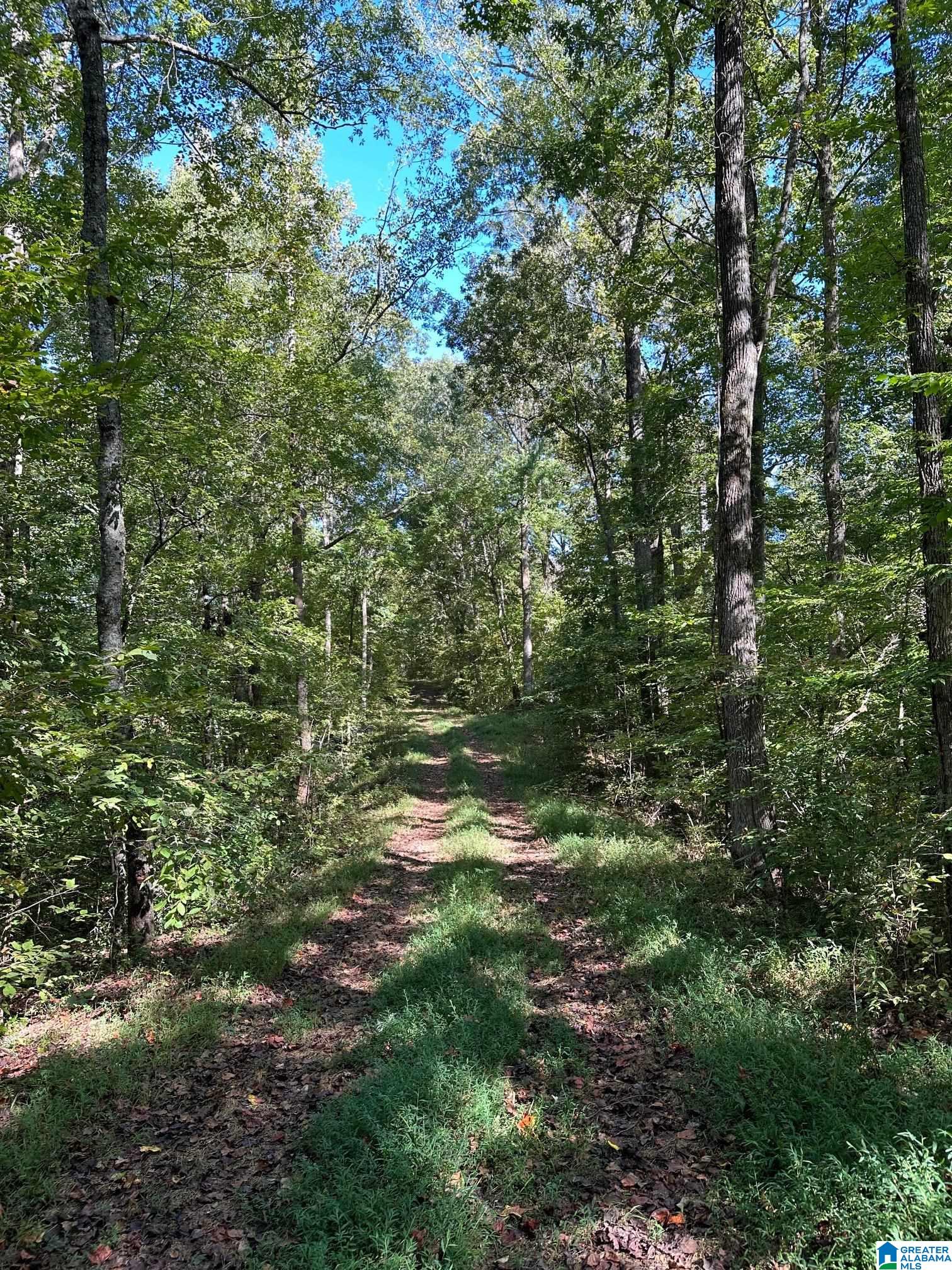 492 County Road, Unit 1 Muscadine, AL 36269 - Photo 7 of 8