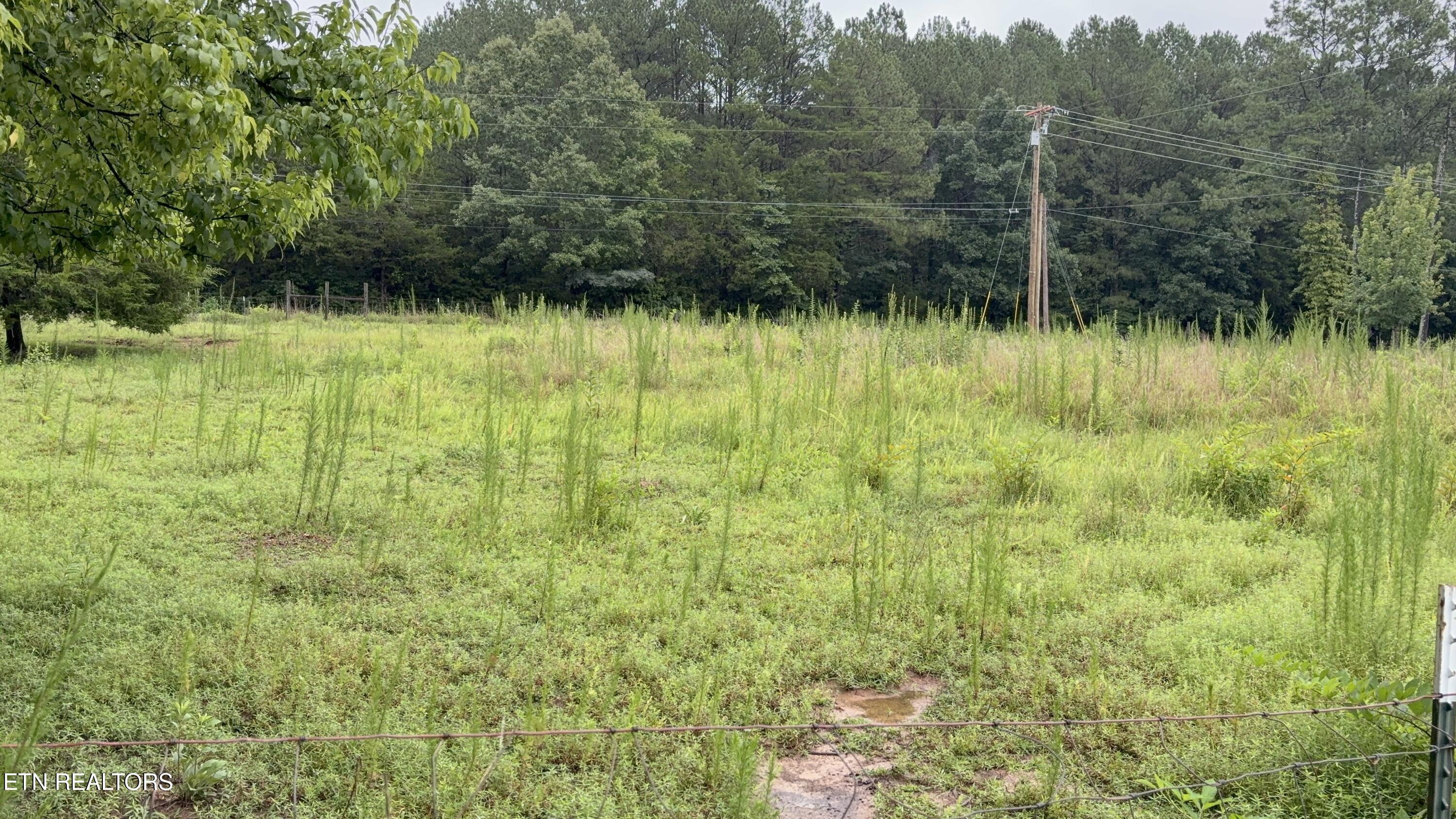 42 County Road Calhoun, TN 37309 - Photo 2 of 8 IMG_0079