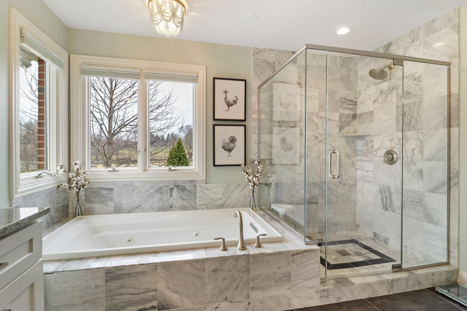 206 Spring Creek Road Barrington Hills, IL 60010 - Photo 19 of 56 a bathroom with a shower and a bathtub