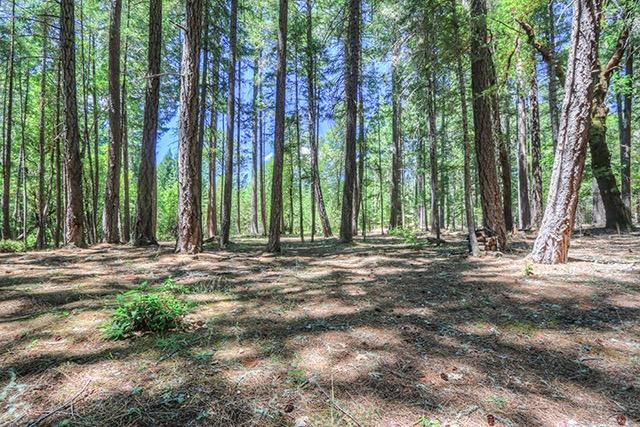 1111 Kincaid Road Williams, OR 97544 - Photo 25 of 33 Additional Photo