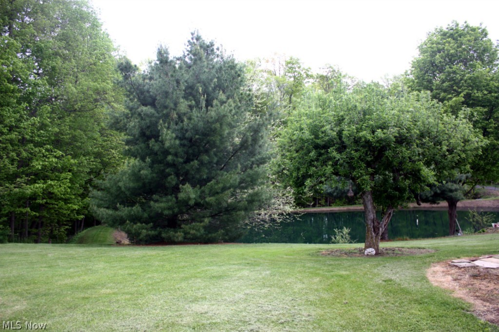 7133 Lowmiller Road Minerva, OH 44657 - Photo 10 of 19