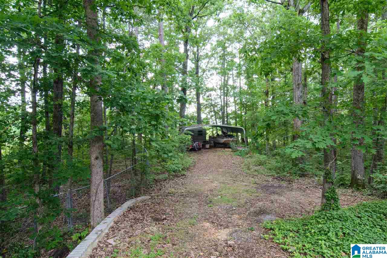 410 Rolling Oaks Drive Springville, AL 35146 - Photo 50 of 50