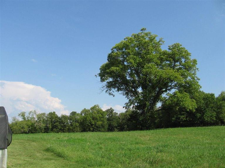 585 Scotts Ferry Road Versailles, KY 40383 - Photo 54 of 58 Photo 54