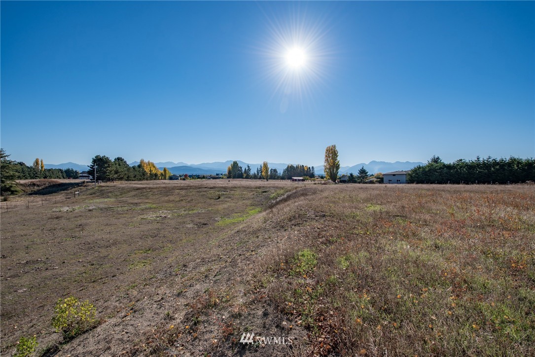 0 Roberson Road Sequim, WA 98382 - Photo 5 of 10