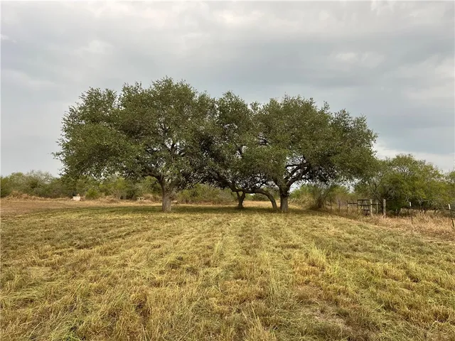 $449,000 | 153 Boenig Road, Woodsboro, TX 78393