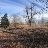 a view of backyard of a house