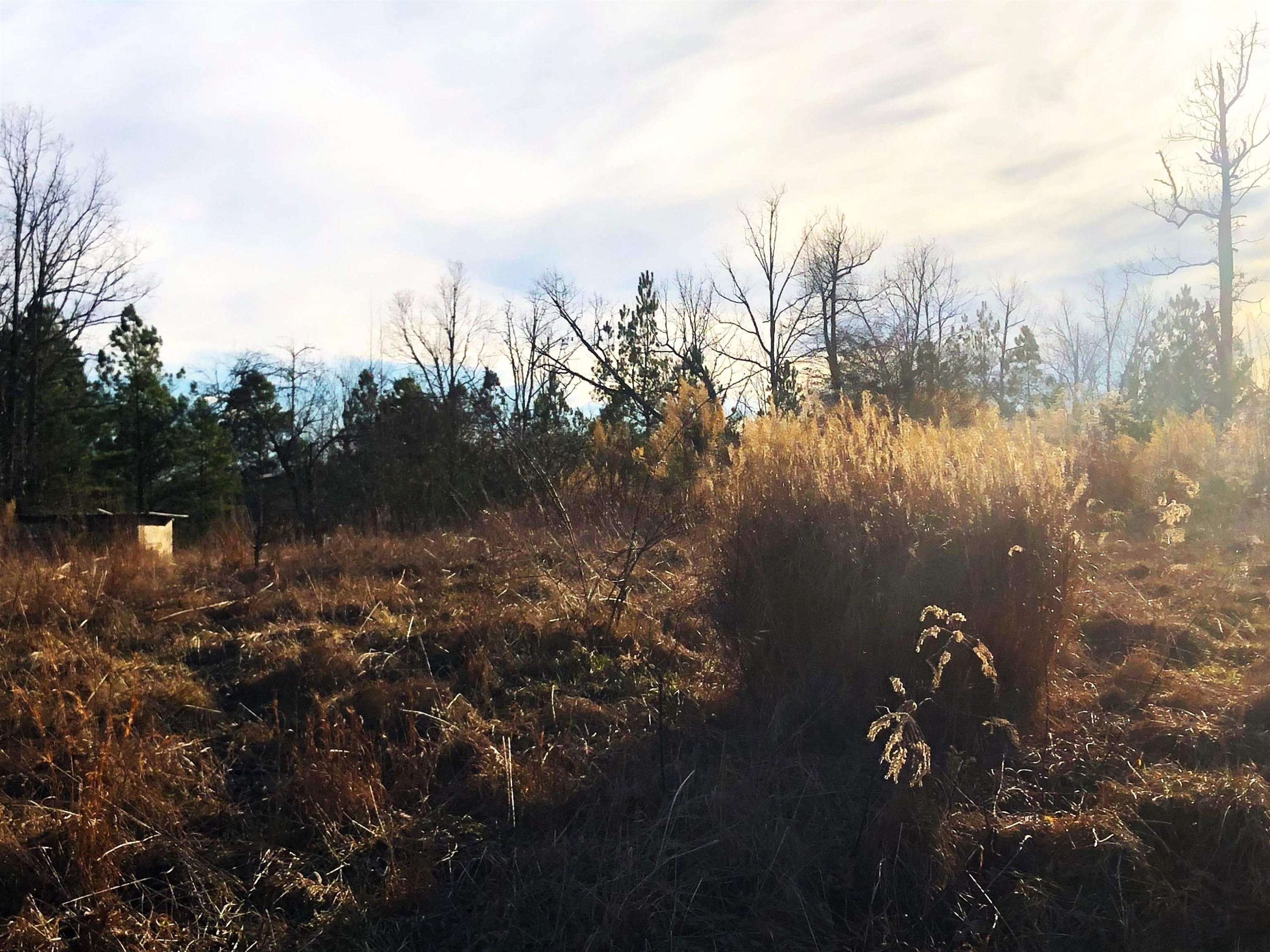 901 Joe Tillman Road Decaturville, TN 38329 - Photo 3 of 7 a view of lake