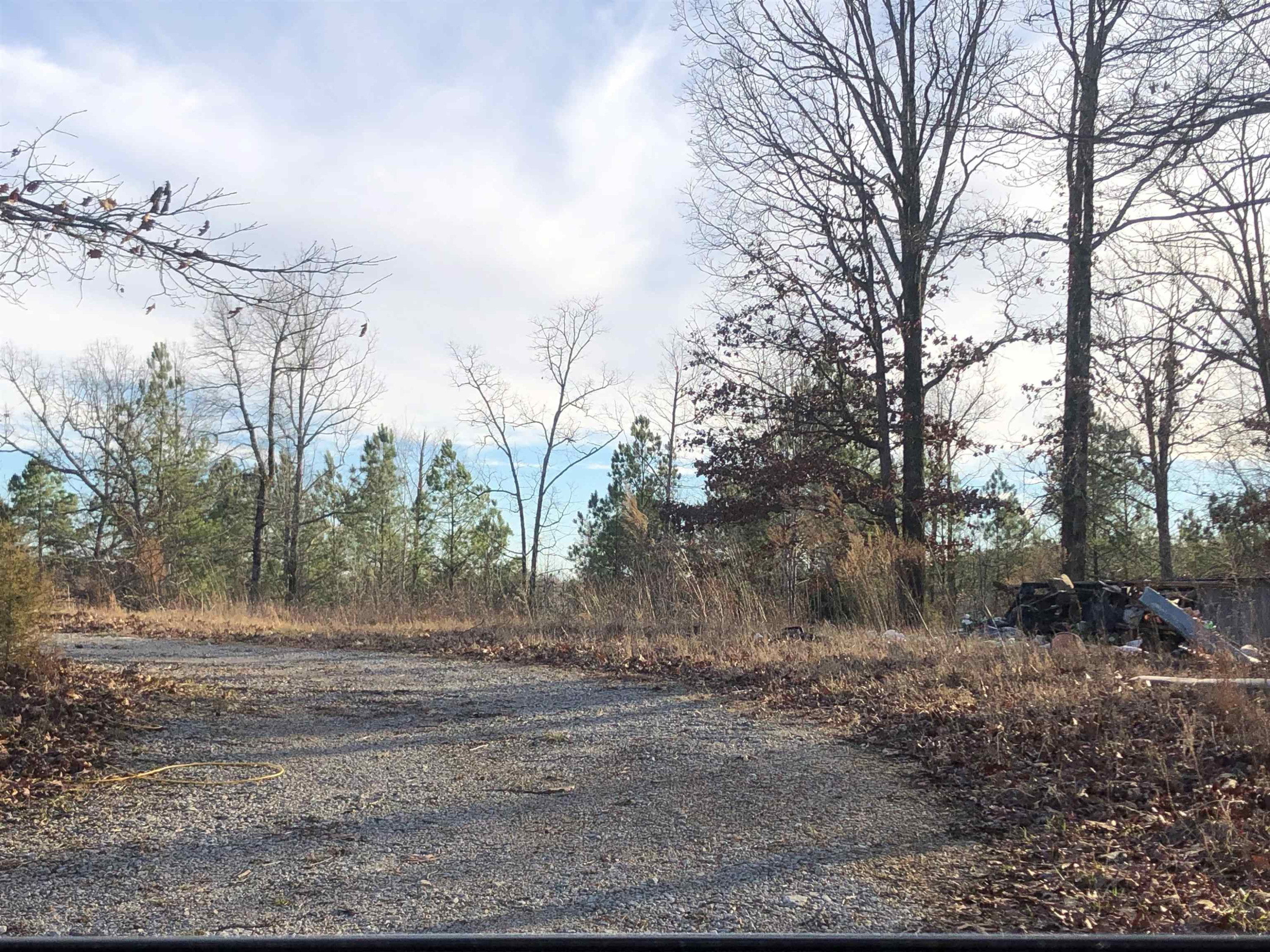 901 Joe Tillman Road Decaturville, TN 38329 - Photo 6 of 7 a view of a yard with large trees