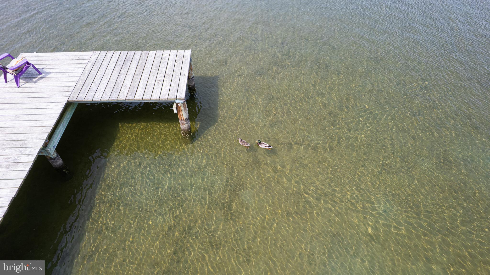 724 Twin Point Cove Road Cambridge, MD 21613 - Photo 2 of 60 End of Pier