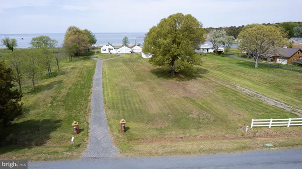 a view of a tree with a yard
