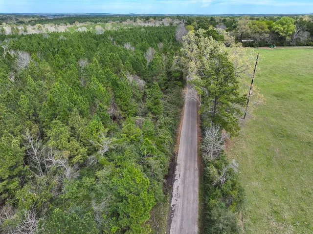 a view of a yard with a lake