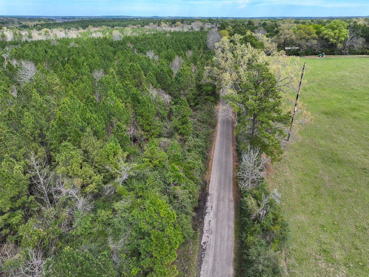 4 Eugene Walker Road Huntington, TX 75949 - Photo 2 of 7 a view of a yard with a lake