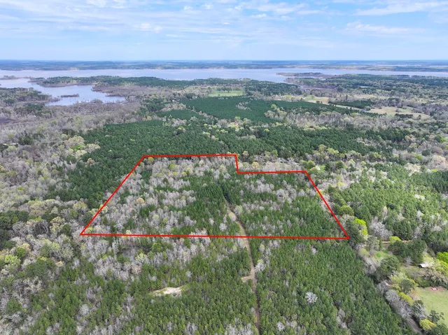 a view of a lush green field