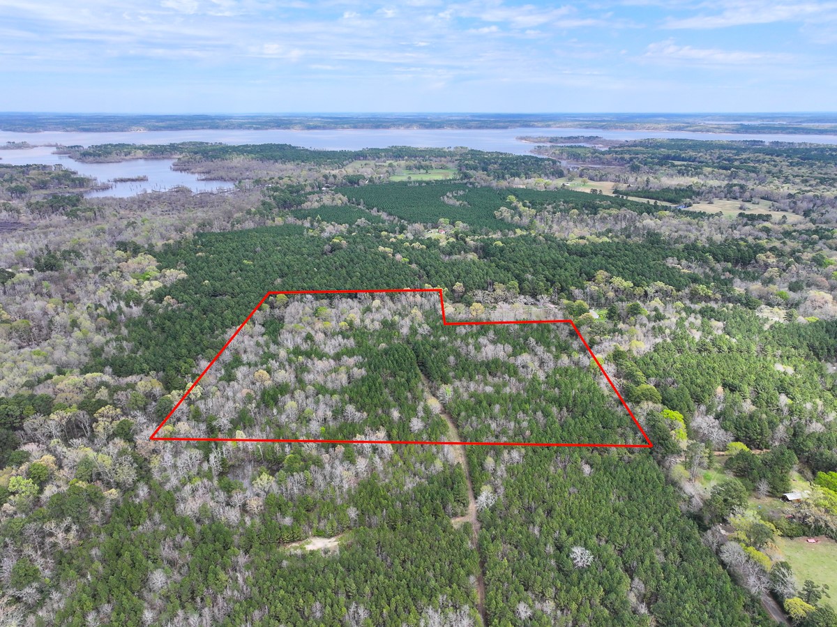 4 Eugene Walker Road Huntington, TX 75949 - Photo 5 of 7 a view of a lush green field