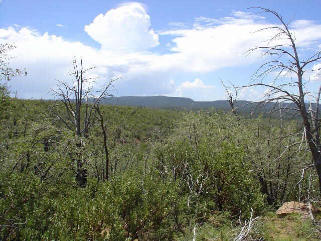 32 Rockinghorse Bend Road, Unit 32A Payson, AZ 85541 - Photo 1 of 2 Primary Photo