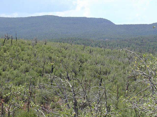 32 Rockinghorse Bend Road, Unit 32A Payson, AZ 85541 - Photo 2 of 2 Additional Photo