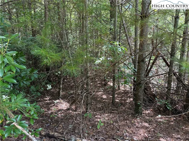 $29,900 | Lot 163 Staghorn Road, Purlear, NC 28665