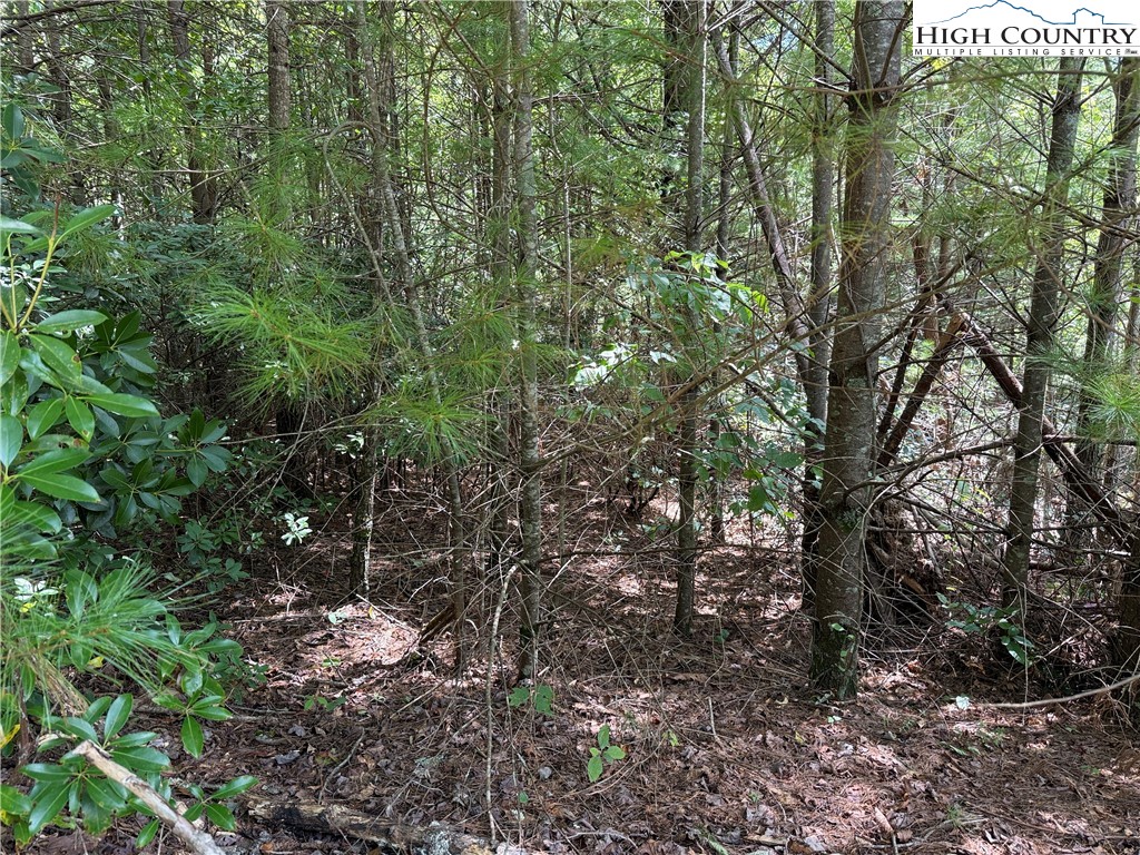 Lot 163 Staghorn Road Purlear, NC 28665 - Photo 11 of 40