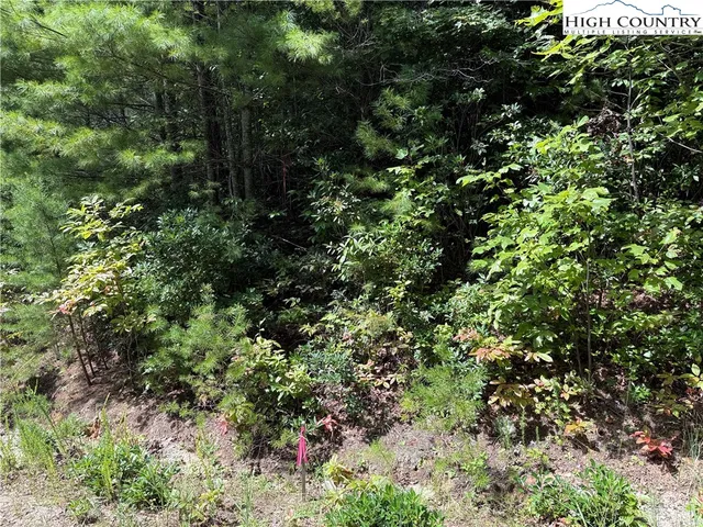 $29,900 | Lot 163 Staghorn Road, Purlear, NC 28665