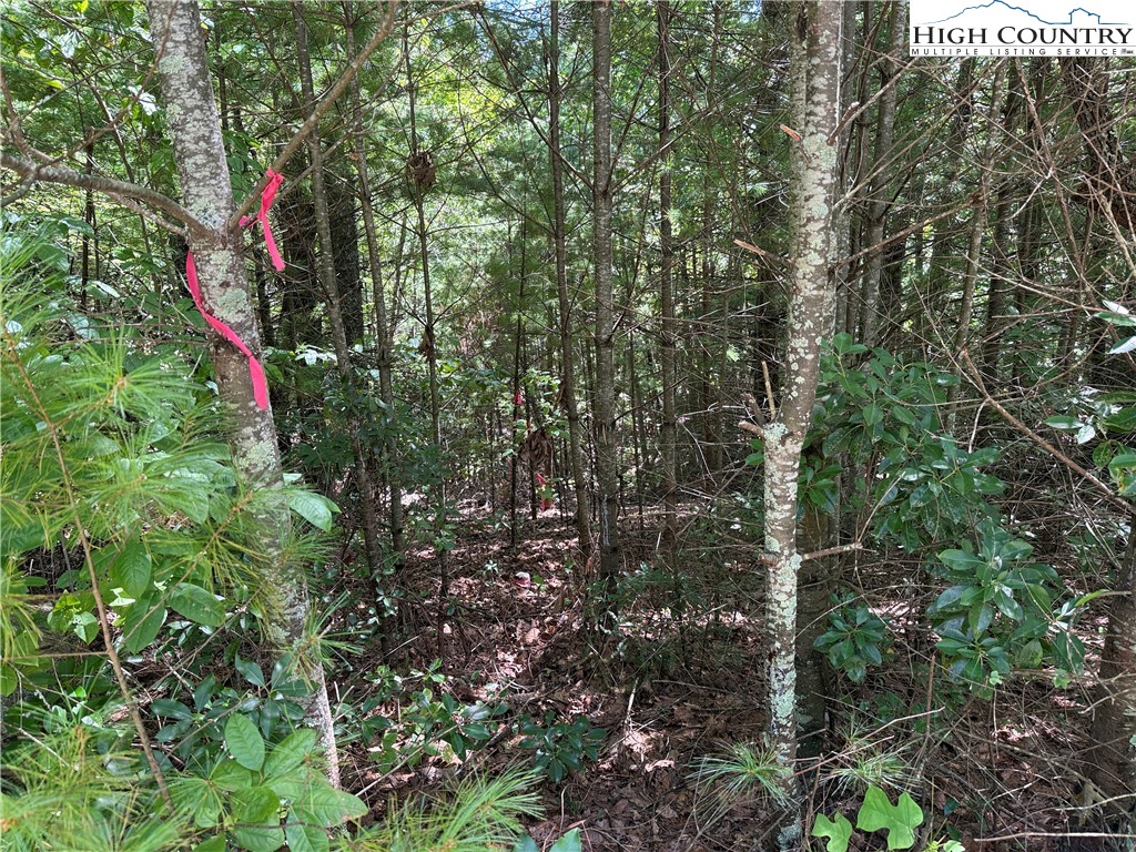 Lot 163 Staghorn Road Purlear, NC 28665 - Photo 13 of 40