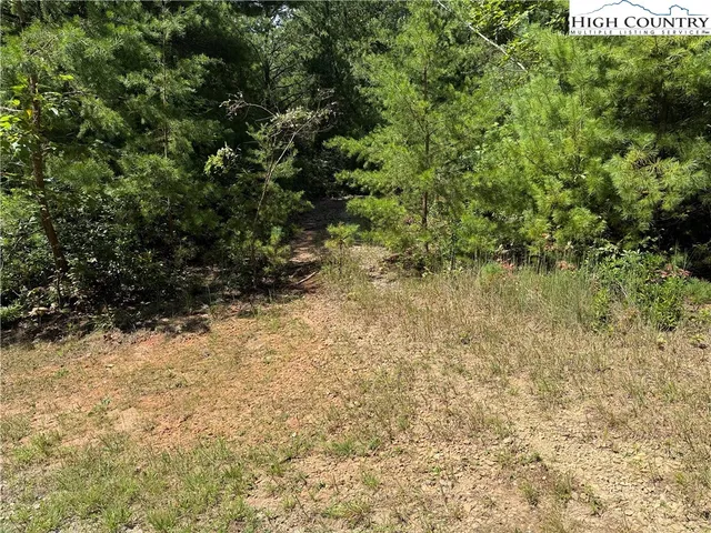 $29,900 | Lot 163 Staghorn Road, Purlear, NC 28665