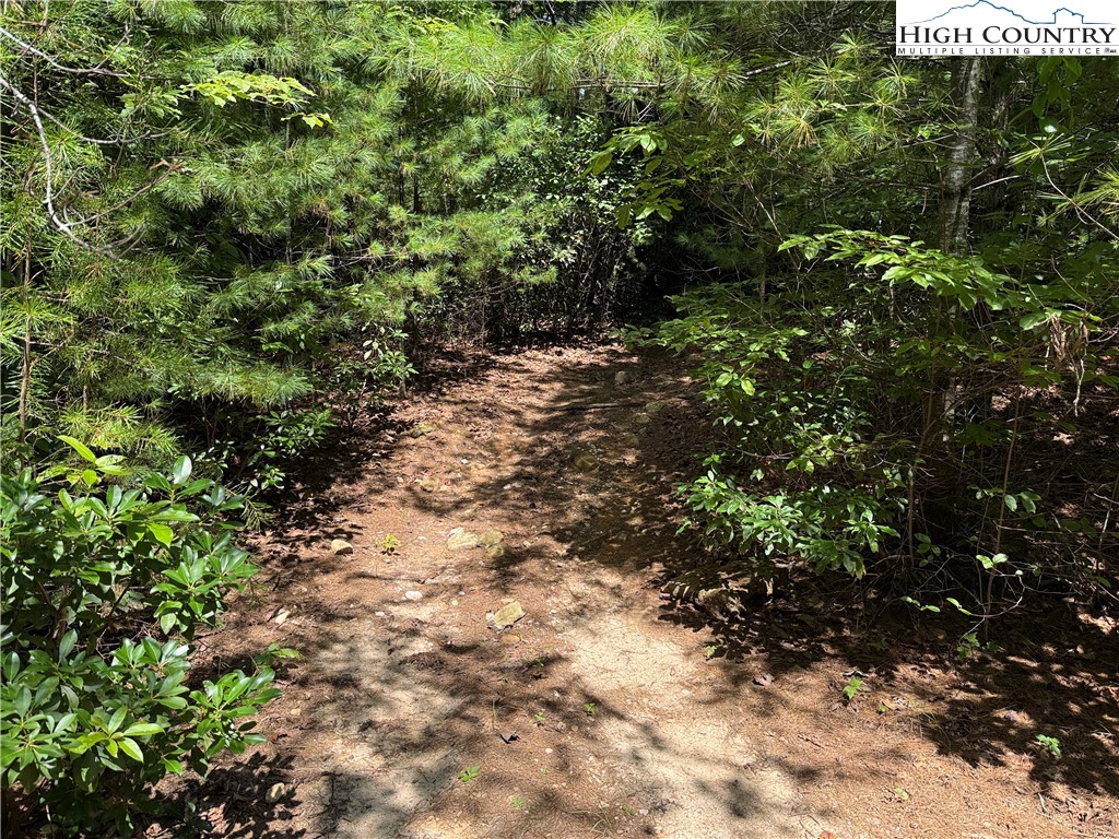 Lot 163 Staghorn Road Purlear, NC 28665 - Photo 8 of 40