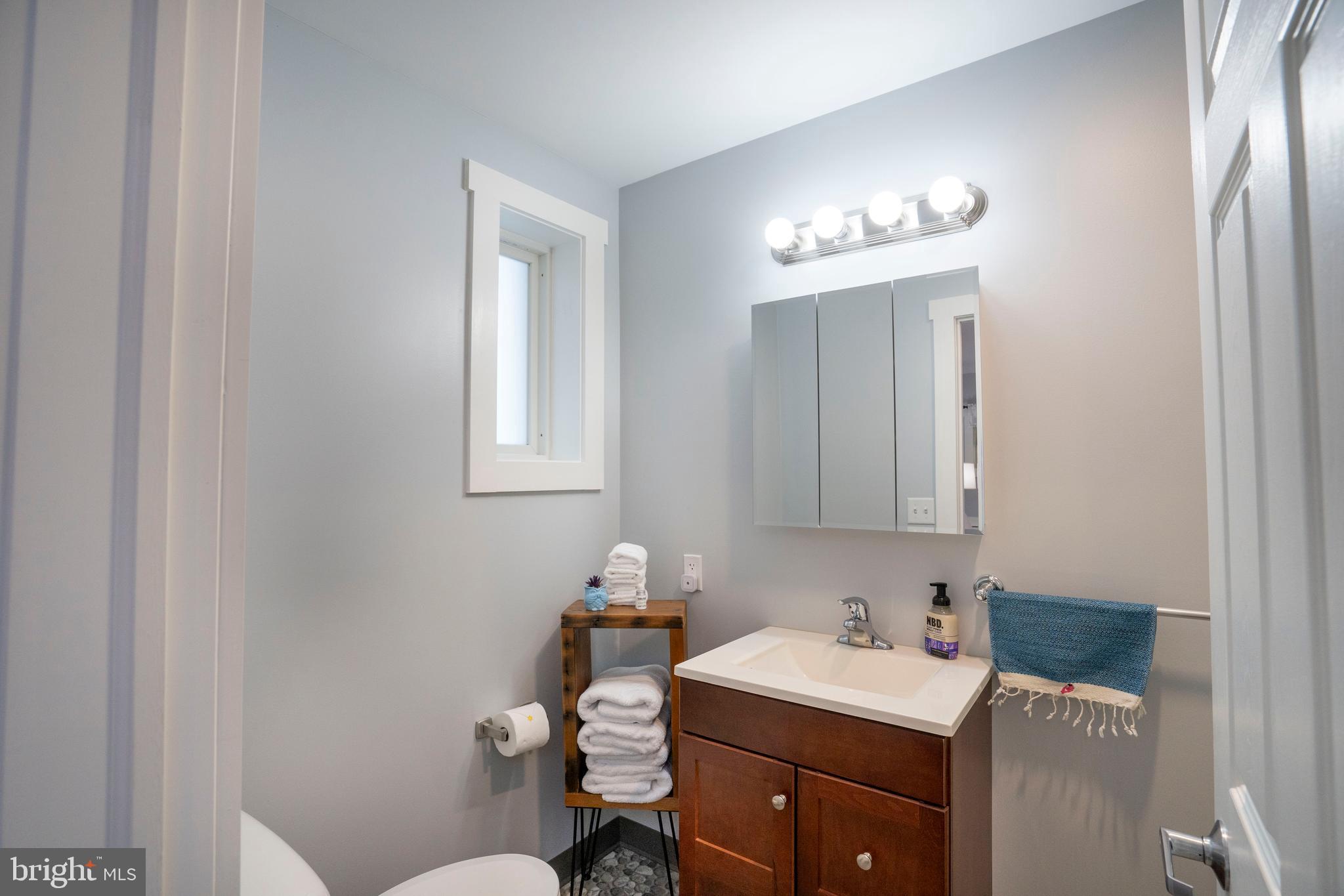 66 Front Drive Mount Union, PA 17066 - Photo 41 of 93 a bathroom with a sink vanity and a toilet