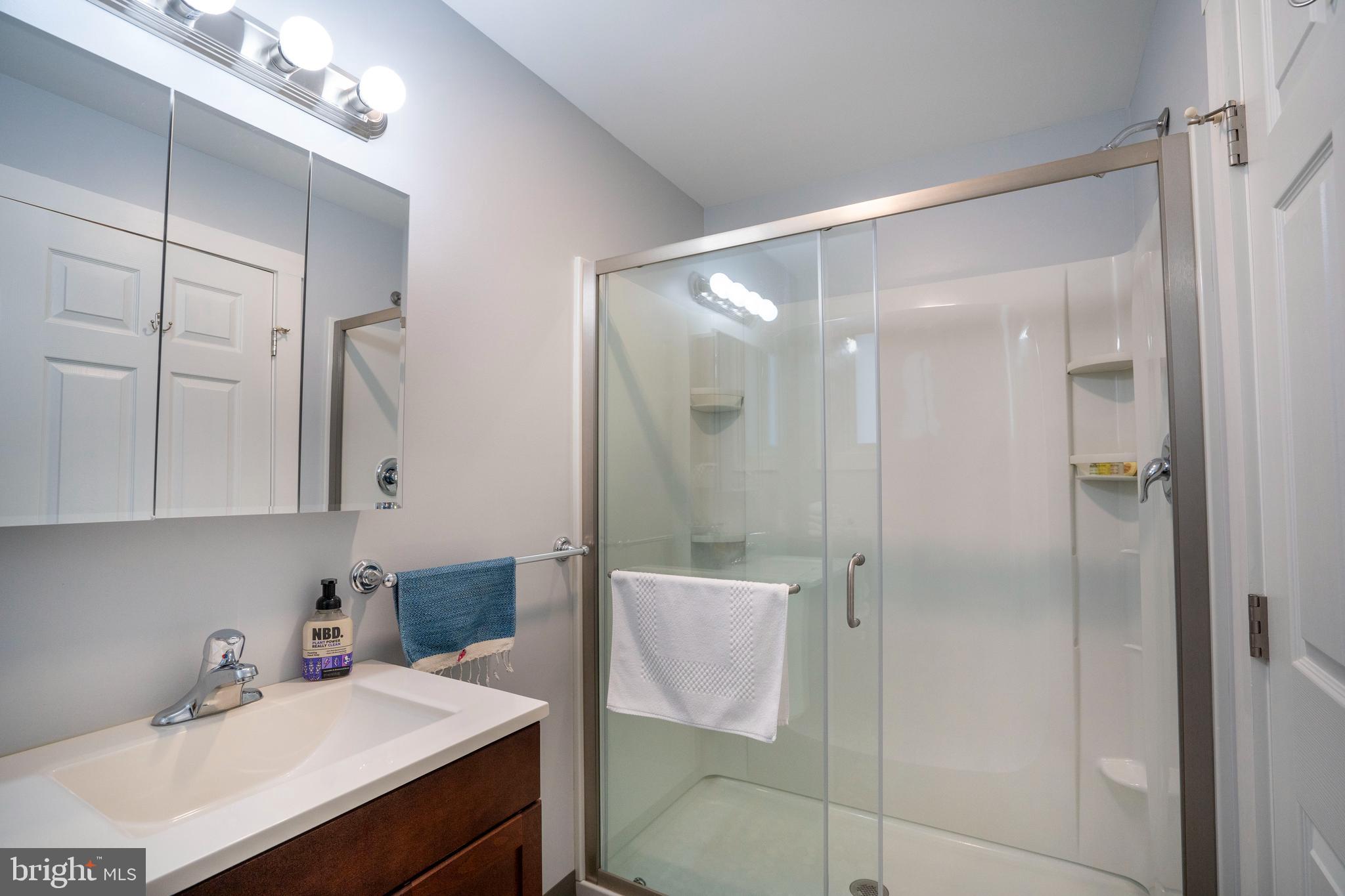 66 Front Drive Mount Union, PA 17066 - Photo 42 of 93 a bathroom with a sink vanity and a mirror