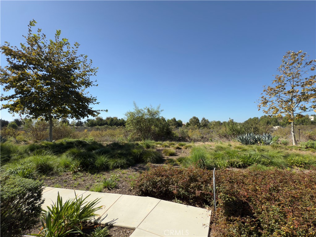 93 Turnstone Irvine, CA 92618 - Photo 3 of 52 a view of a dry yard with wooden fence