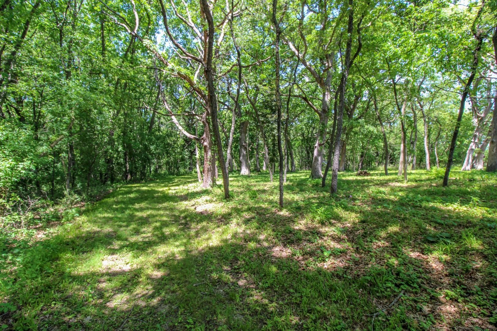 W9650 Rucks Road Cambridge, WI 53523 - Photo 86 of 90