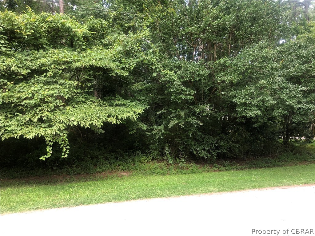 0 Sanders Landing Road North, VA 23128 - Photo 13 of 14