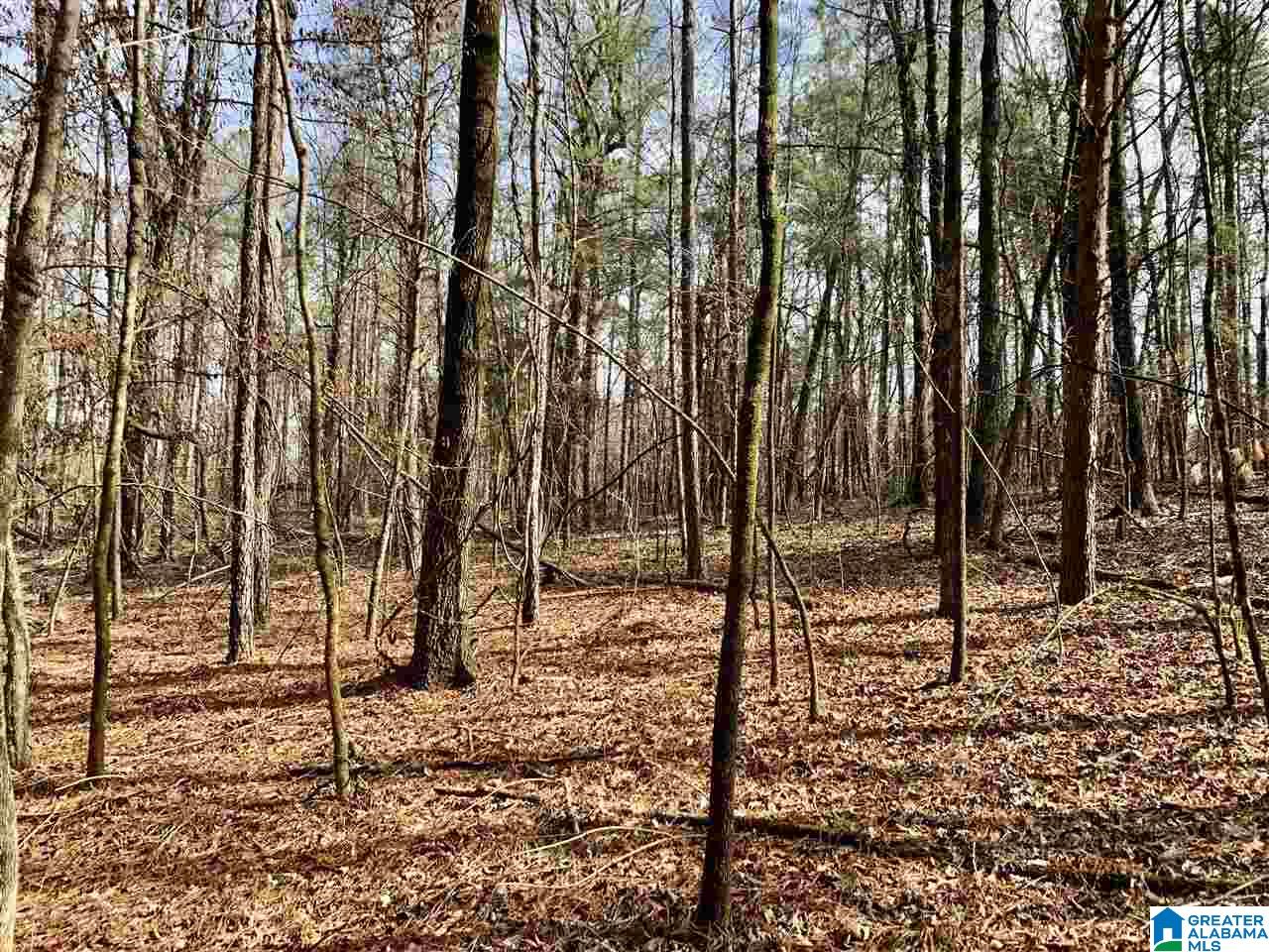 0 County Road 16 Calera, AL 35040 - Photo 10 of 22