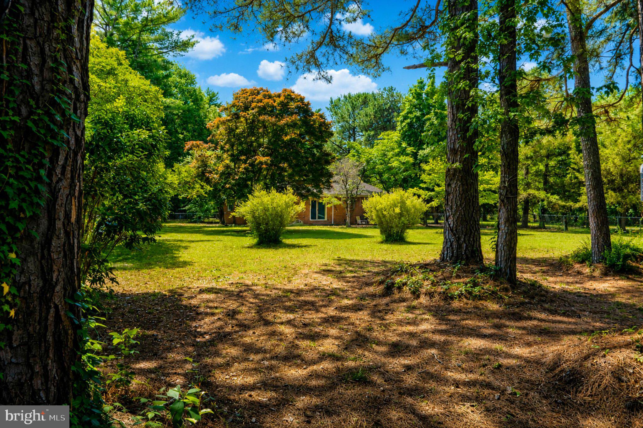 610 Beach Road White Stone, VA 22578 - Photo 16 of 23 Serene woodland retreat awaits you.
