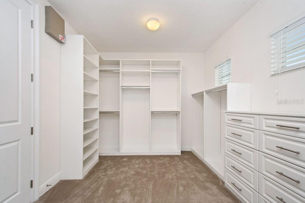 17538 Black Rail Street Windermere, FL 34786 - Photo 30 of 32 a view of walk in closet with empty racks