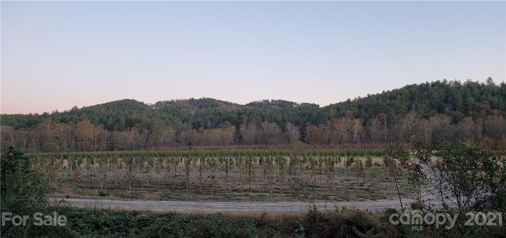 5580 Adako Road, Unit 9 Lenoir, NC 28645 - Photo 11 of 24