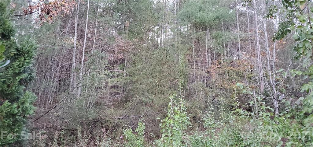 5580 Adako Road, Unit 9 Lenoir, NC 28645 - Photo 20 of 24