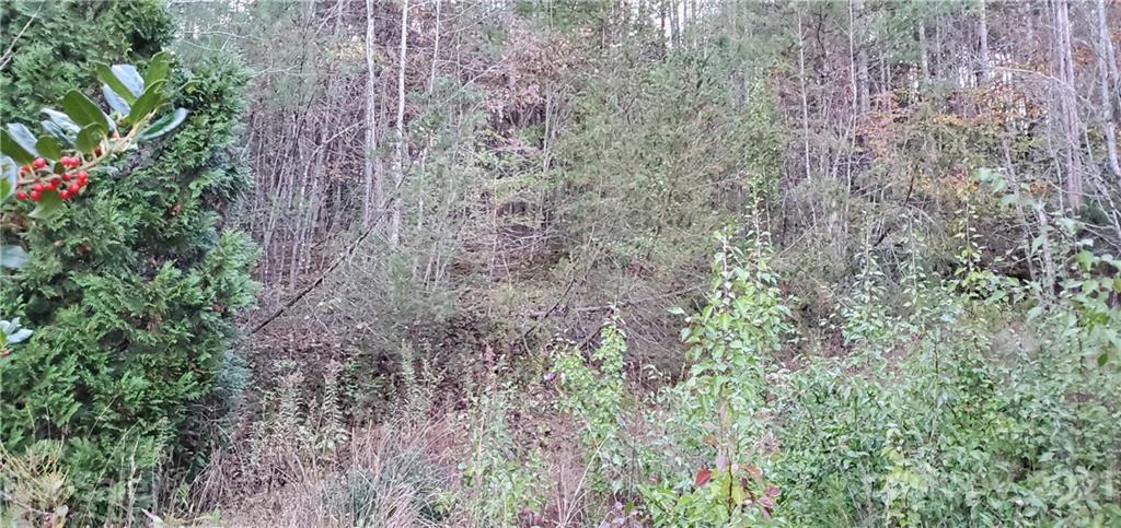 5580 Adako Road, Unit 9 Lenoir, NC 28645 - Photo 21 of 24